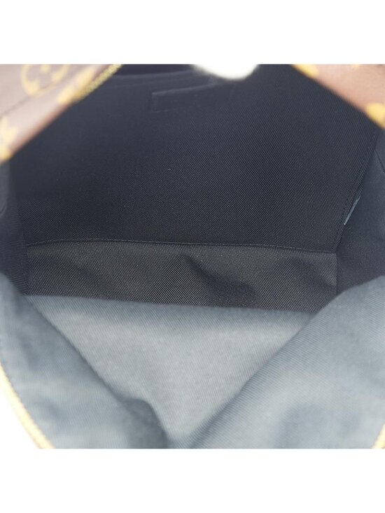 Louis Vuitton Monogram Palm Springs Backpack PM